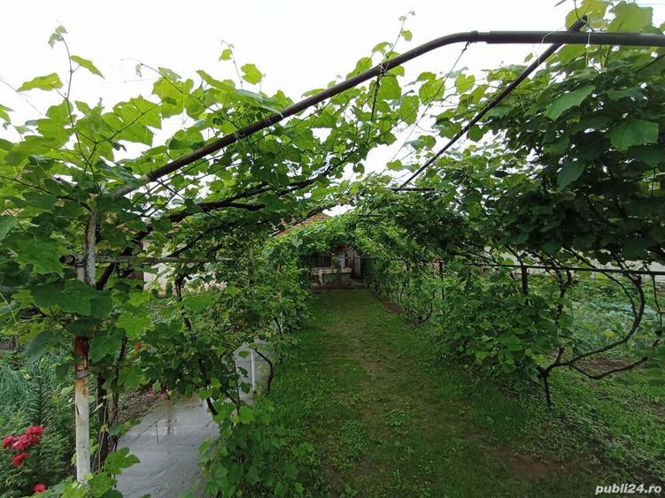 Vanzare casa situata in comuna Pestisani - Sat Borosteni, Jud. Gorj - 2