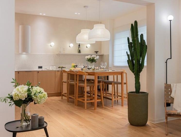 Apartament cu gradina Aviatorilor - 4