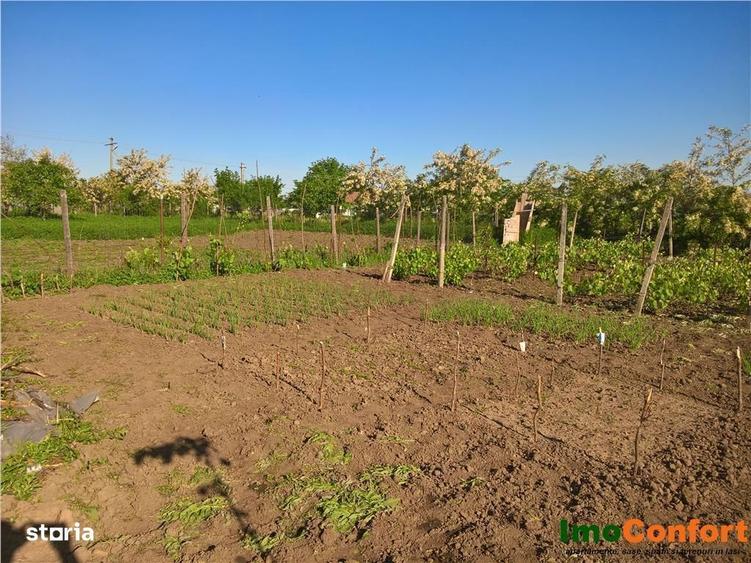 Casa noua S+ P+M, cu 1464mp teren, in Bogdanesti - 10