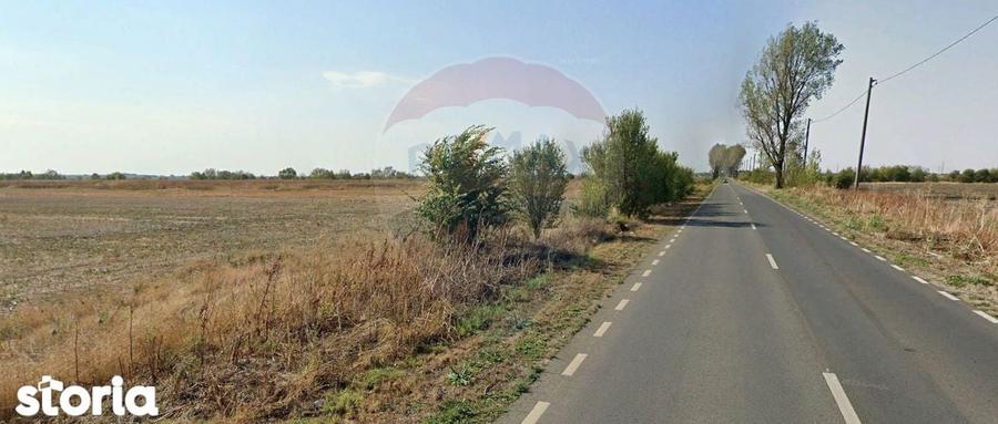 Teren industrial 7.9 ha, Afumati, deschidere 120m, Soseaua Stefanesti - 1