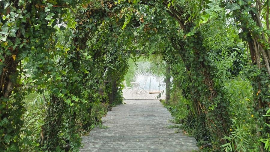 REA1024819 Apartament 2 camere Sisesti - 8