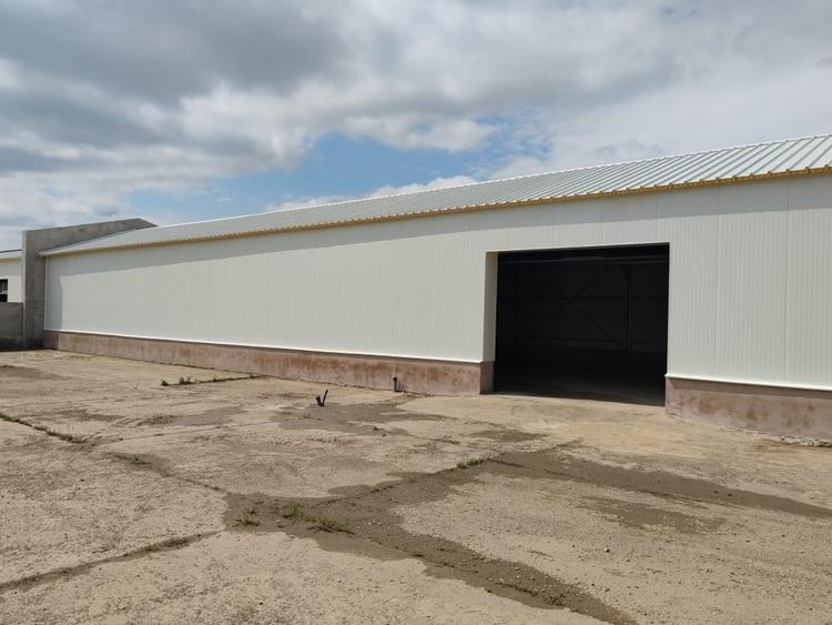 Hala de inchiriat - 320 MP, zona Complex Max, Restaurant Regal, Vaslui - 4