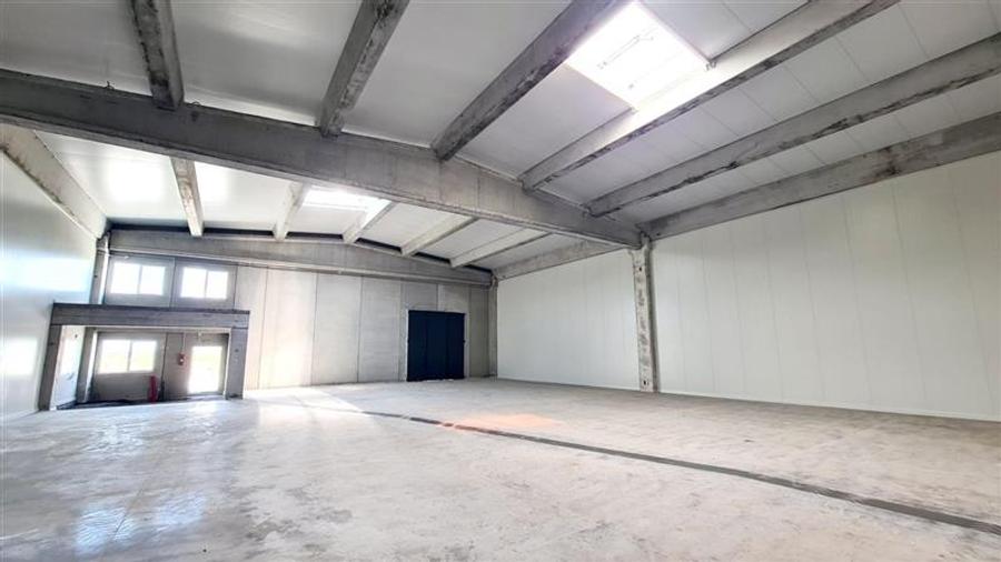 Hala industriala Timisoara,1100 mp, Exterior NORD - 7