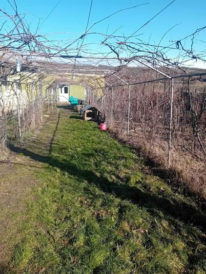 Casa Comuna Bulzesti - 5