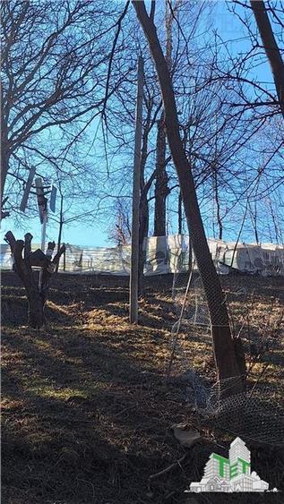 Teren Unic în Tarcau - Oportunitate pentru afacere cu potential turistic! - 6