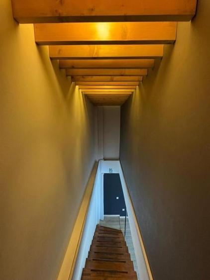 Spatiu  Stefan Cel Mare S P 1 supr 215 mp - 10