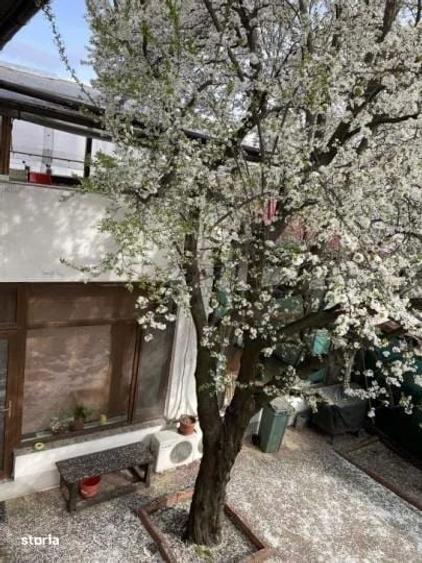 Casa Matei Voievod - 5