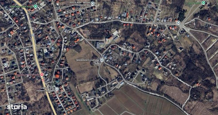 Teren Bucium - Trecatoarea Paun - 6