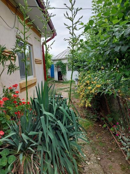 Vand casa de locuit si teren 4000 mp - 5