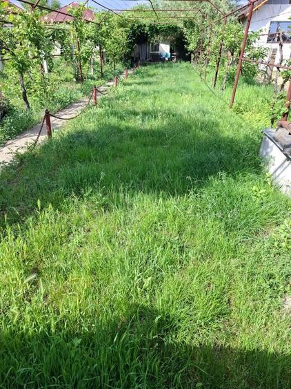 Casa + teren 1.000 mp, 20 m deschidere la strada principala, Vladuleni, Gorj - 2