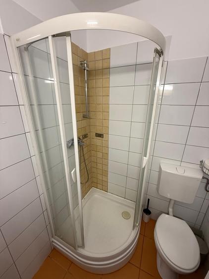 Apartament de lux de închiriat în Ștrand, lângă Parcul Sub Arini - 13