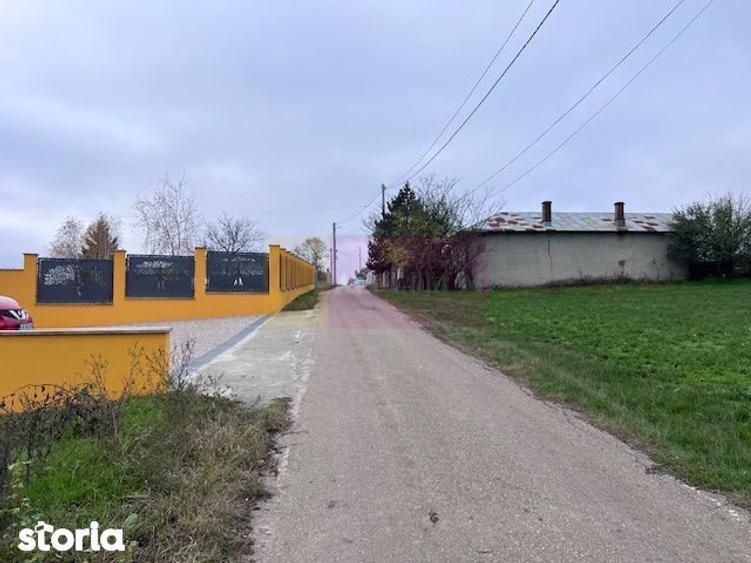 Teren Comana- strada Funieru. - 3