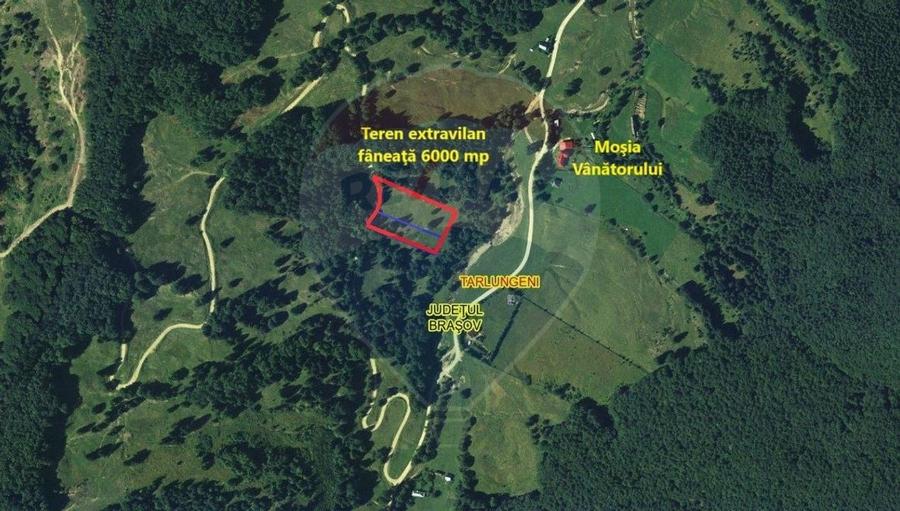 Teren 6000 mp, Vama Buzaului - vedere către Ciucaș - 13