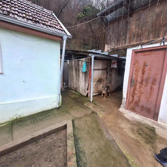 BOCSA Montana, Casa Cocheta cu curte . - 10