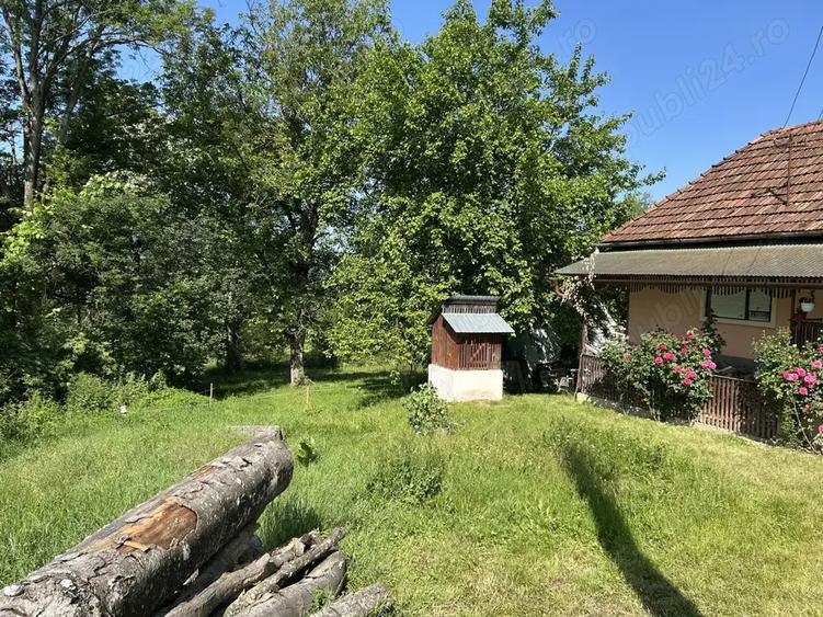 Vand casa de caramida sat Bodesti -comuna Halmagiu Arad - 6