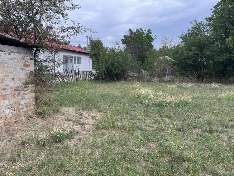 Teren intravilan 2.500 mp Buciumeni, Dambovita - 4