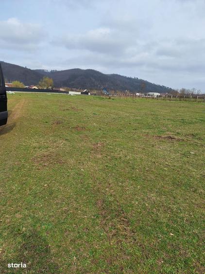 Oportunitate Investitionala Rara: Teren Intravilan17.500mp in Tg.Neamt - 9