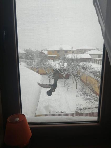 Vand casa Harman - 7