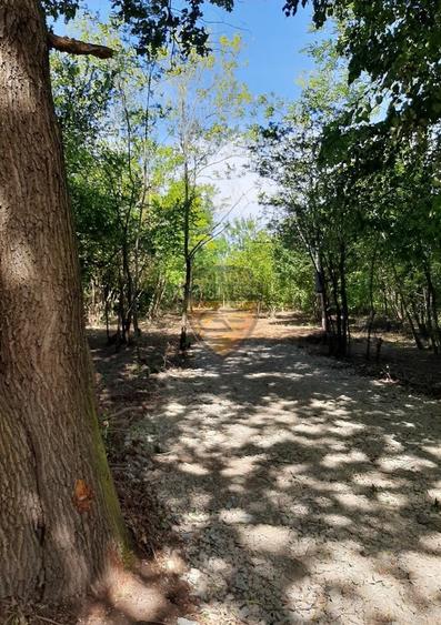 Teren 5526mp, intravilan, Jupiter, 2 deschideri, se acccepta schimb - 3