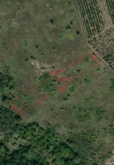 De vanzare teren cu poten?ial investi?ional ridicat - IMOBIHOR - 50 000 - 3