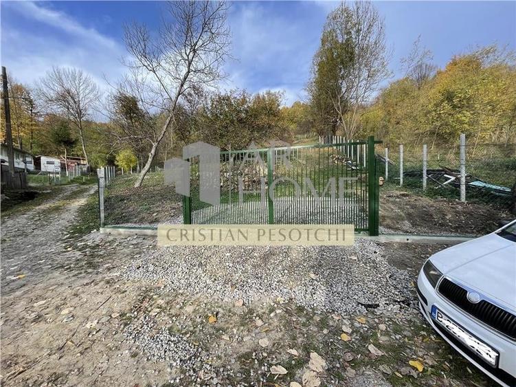 Teren Provita de jos 2300 mp Centru - 4