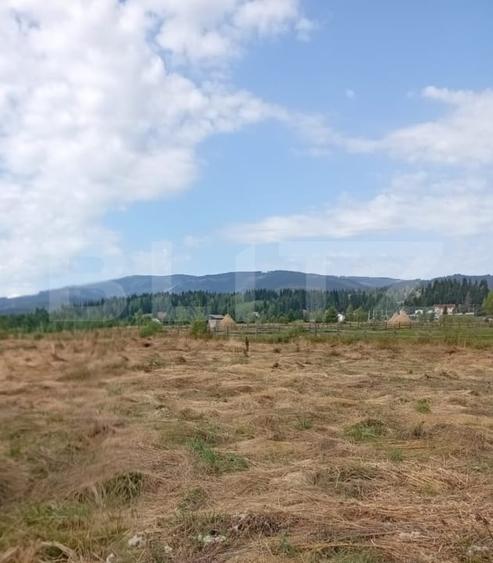Teren Construcții intravilan de 3850 mp, în Exterior Vest