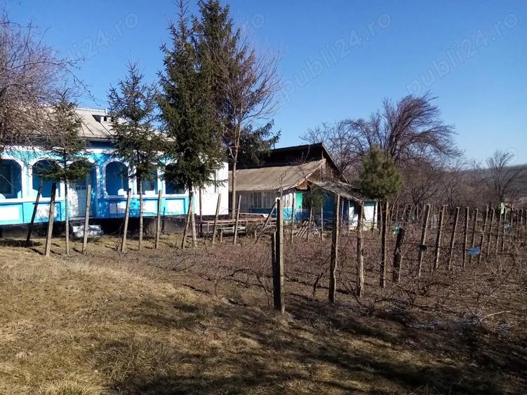 Vand casa cu teren - 10
