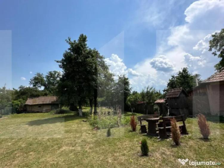 Casa taraneasca in inima naturii - 8