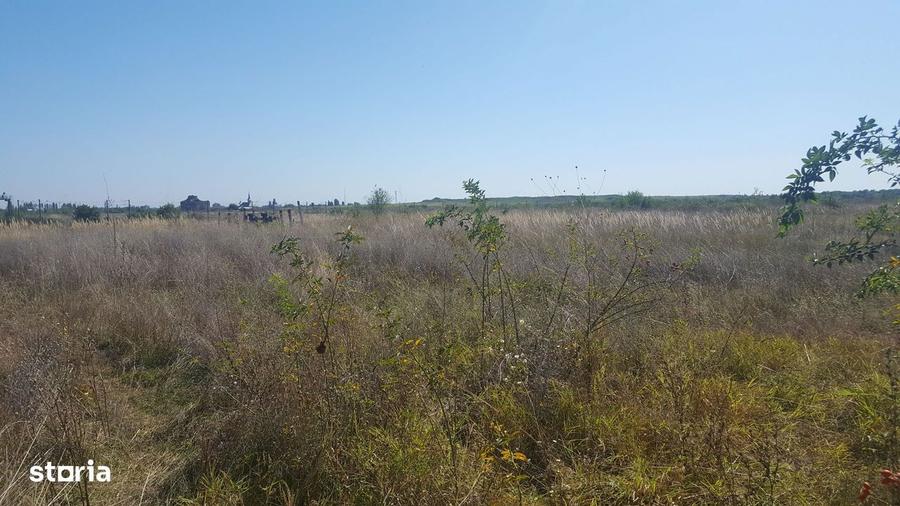 Teren de vanzare, 20.000 mp, sector 1, intravilan, curti-constructii. - 6