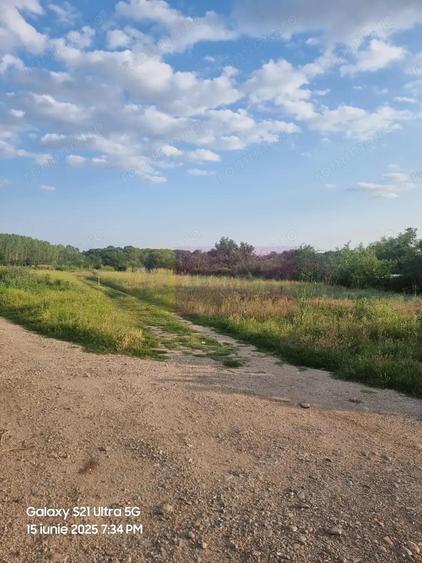 Se vinde teren 2150 mp in Teisori Giurgiu - 7