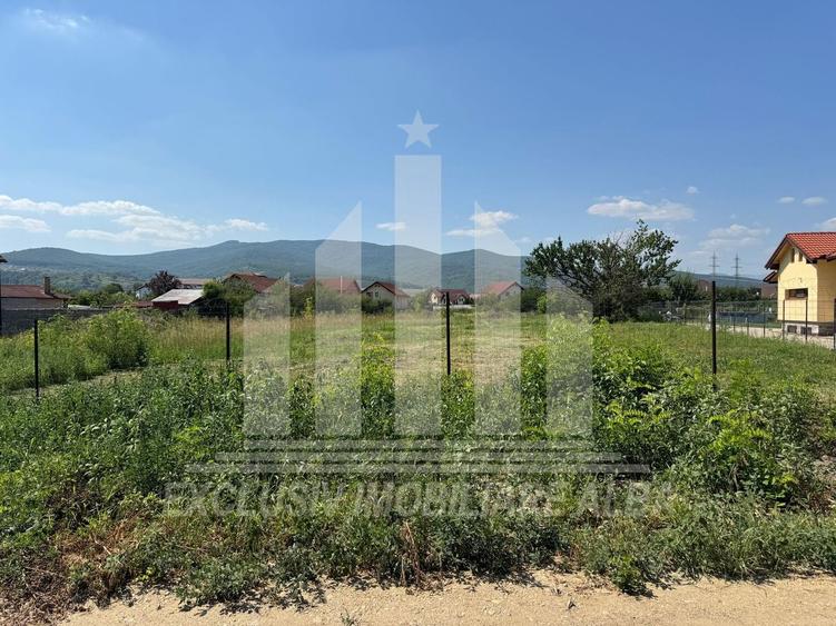 Teren intravilan | 2900 mp | 17 ml deschidere | Alba-Micesti - 4