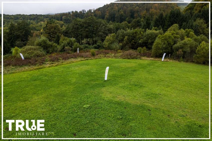 Teren intravilan C&acirc;mpul Cetății 2600m? - zonă de vacanță - 5