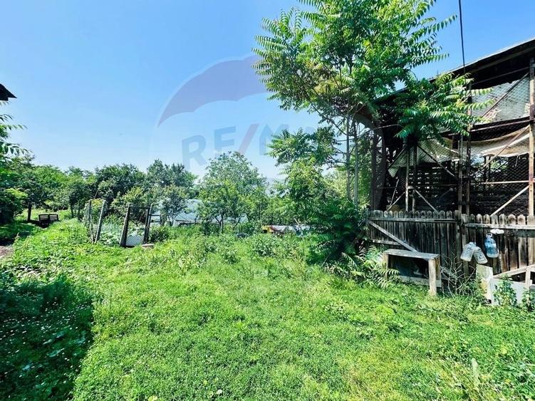 Teren 1537mp cu Livada si Iesire la Lac in Niculesti-Dambovita - 6