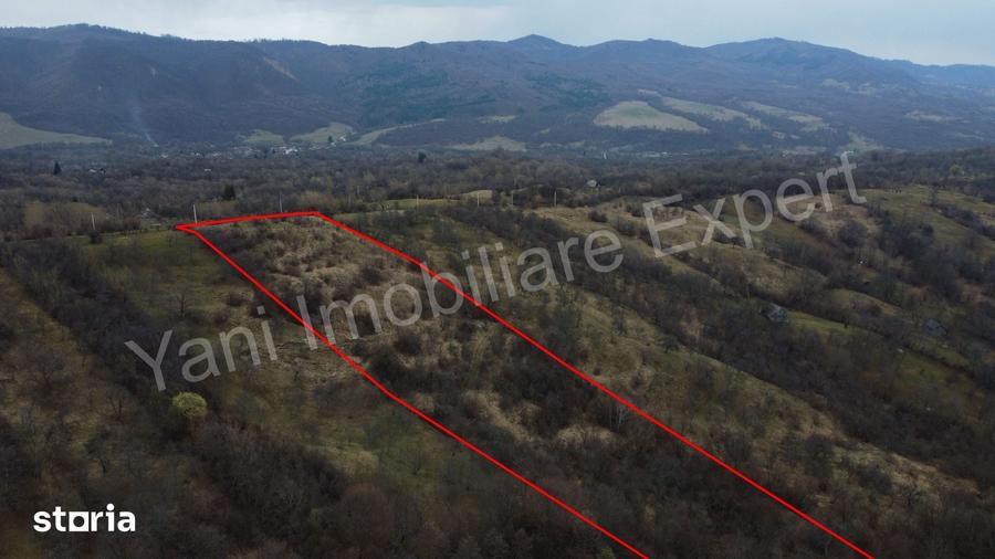 Teren de 14328 mp, în Nucșoara