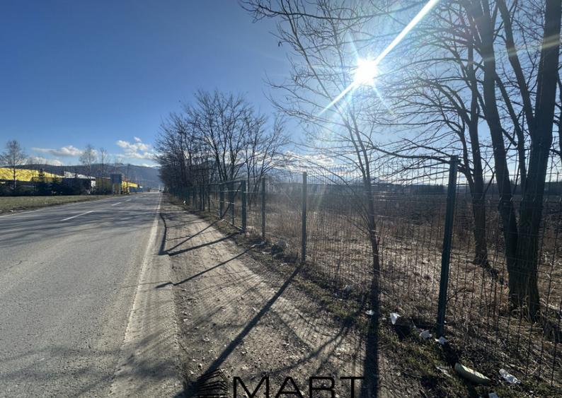 Teren Intravilan 60.000mp - 3