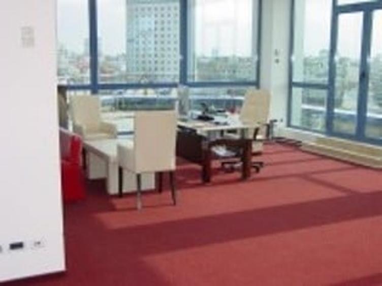 230 mp  birouri Victoriei - 1