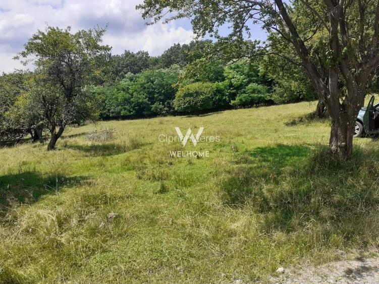 Teren intravilan constructii  - Cisnadioara - Sibiu