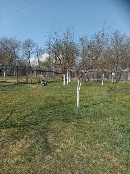 Vand casa in Tichindeal - 4