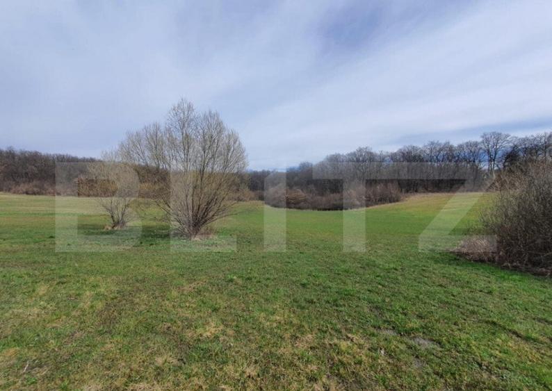 Teren de vanzare extravilan, 1ha, drumul Sigmirului - 5