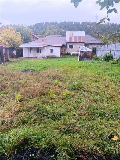 Manta Rosie TEREN 700mp CASA BATRANEASCA 65mp la 200m de bld. Poitiers - 1