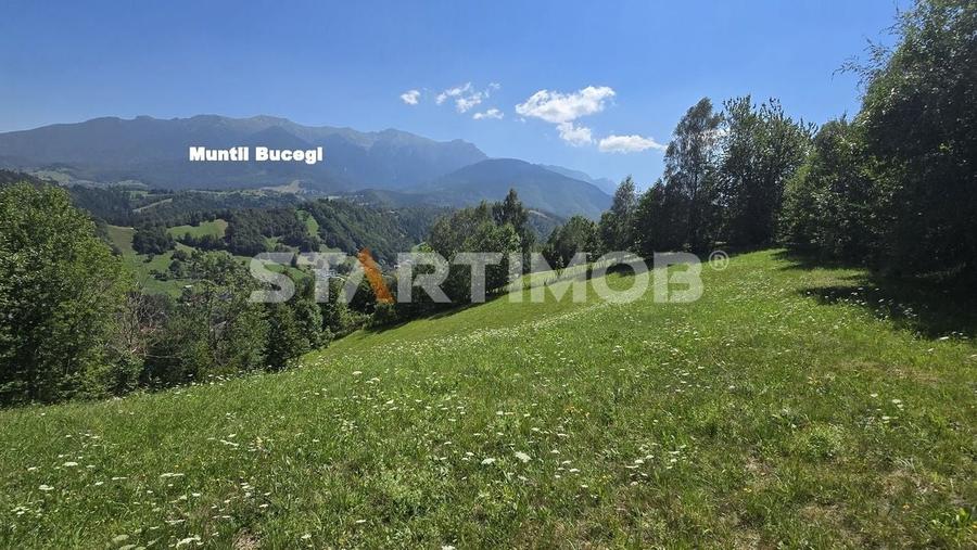 Teren extravilan Bran Podul Simonului - 11