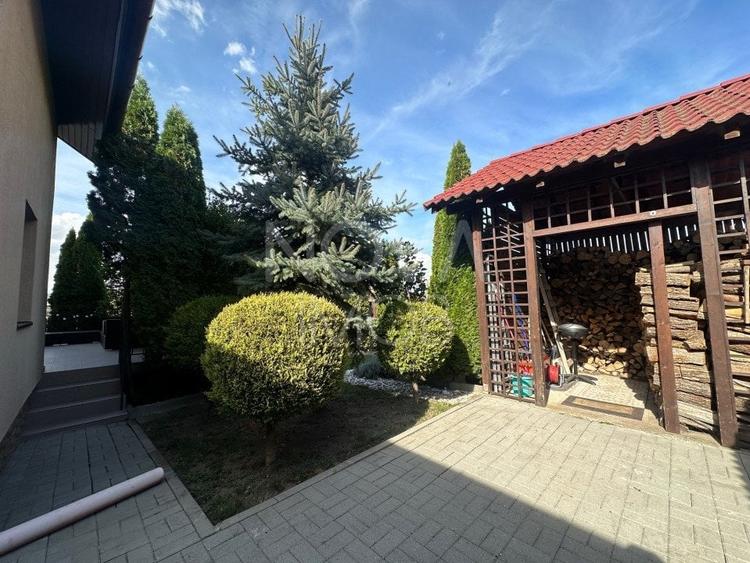 Casa individuala de vanzare - Sura Mare - 3