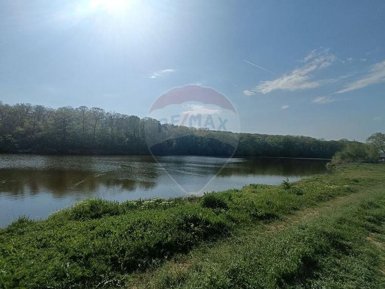 Vanzare Teren Constructii Langa Lac și Padure | Branesti | Ocazie! - 1