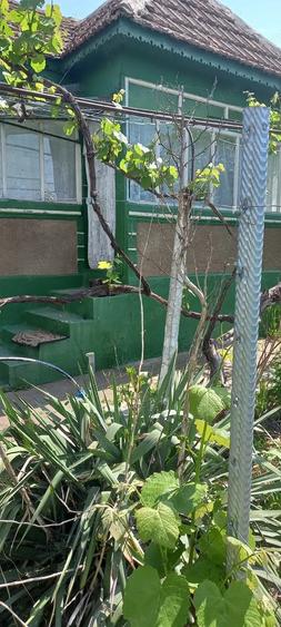 Casa batraneasca 2 corpuri - loc. Mircea Voda, Tulcea - 1