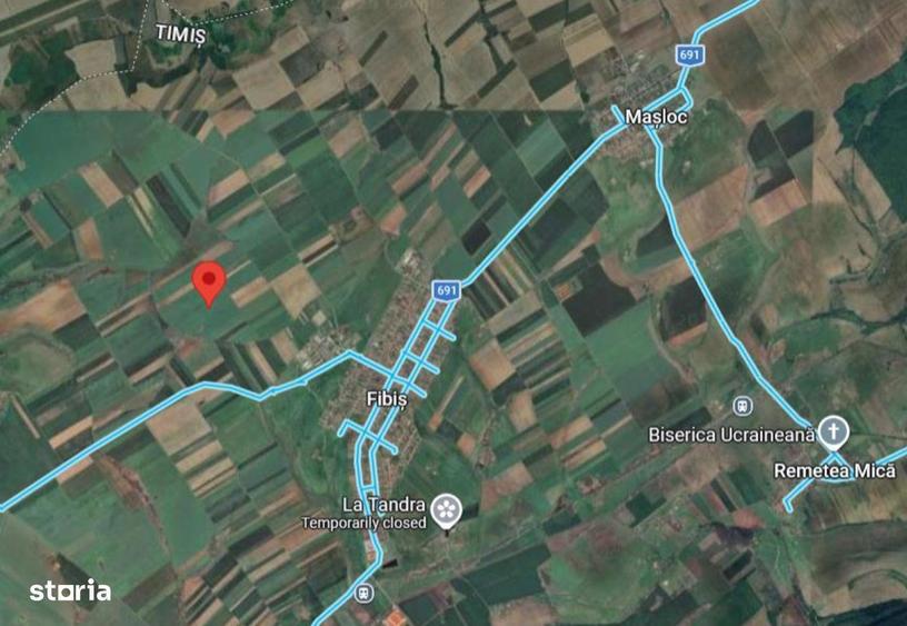Cota 3/12 Teren extravilan Loc. Fibis, jud. Timis - 4