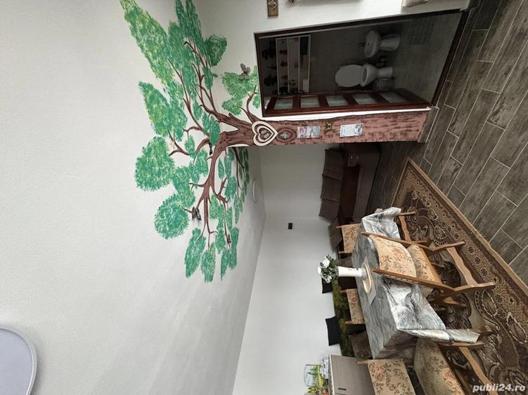 Cabana de inchiriat - 2