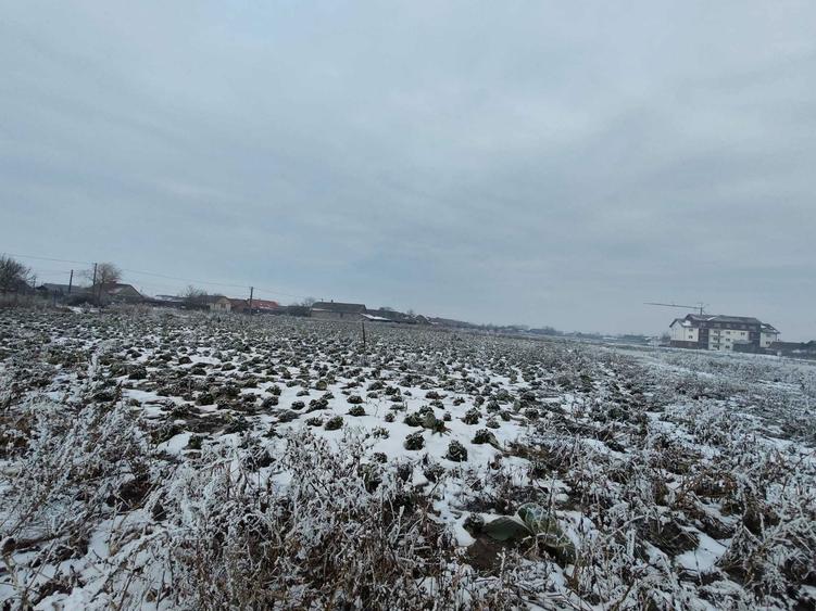 Vanzare teren intravilan - 2