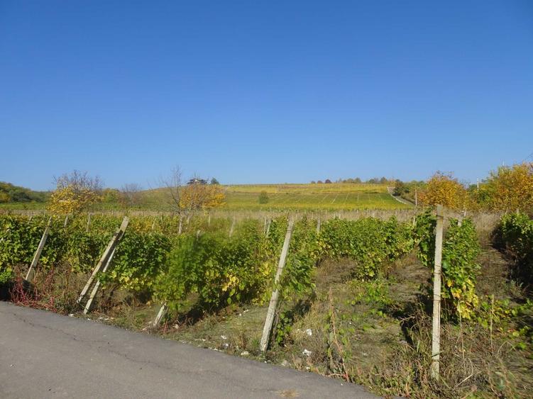 Teren de 2600 mp, în Drăgășani