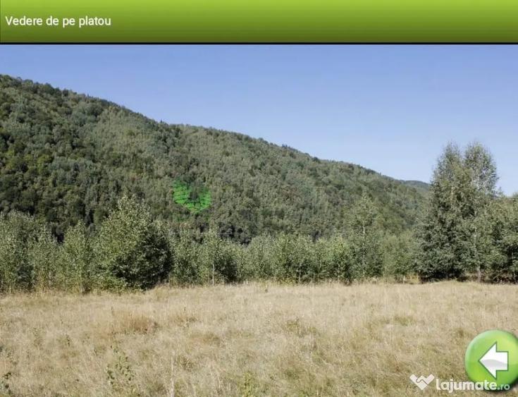 Teren în Plaiul Foii