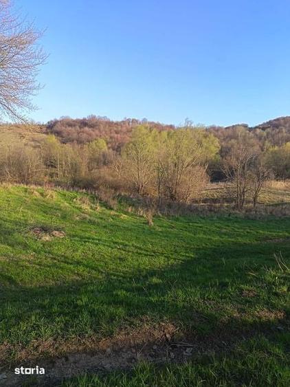 Teren de 10000 mp, în Câmpuri
